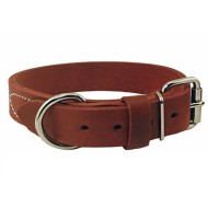 Dog Collar